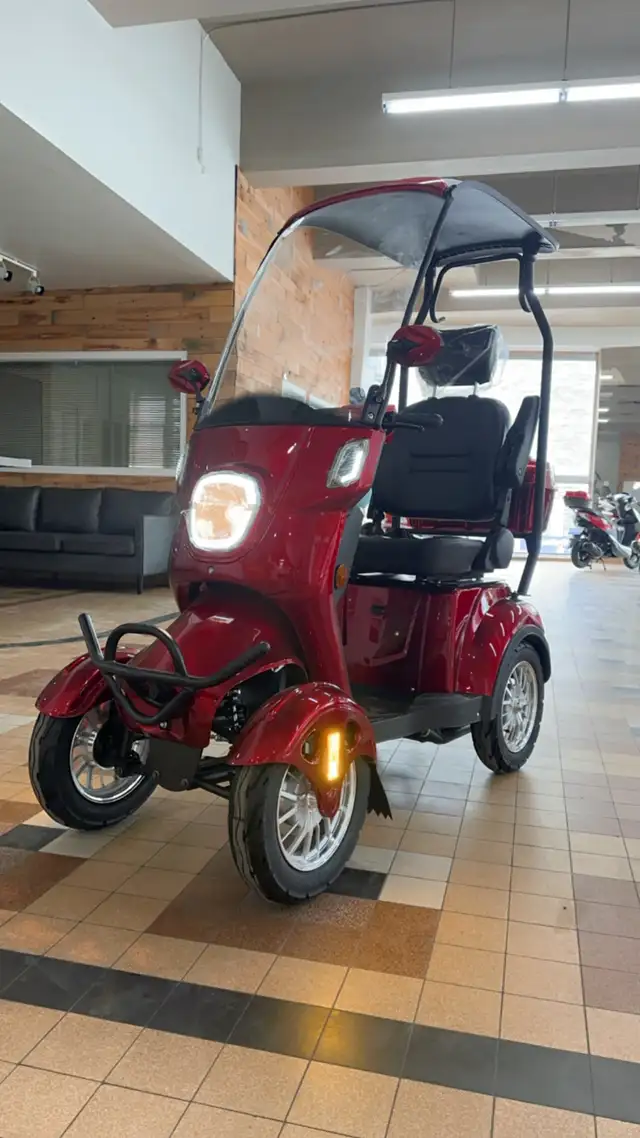 QUADRIPORTEUR ET4 LS - Photo 3