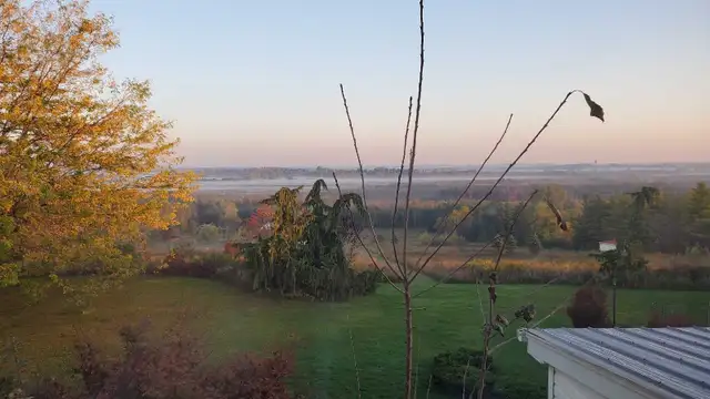 Upper Level of House for Rent - 2 Bed 2 Bath - Photo 9