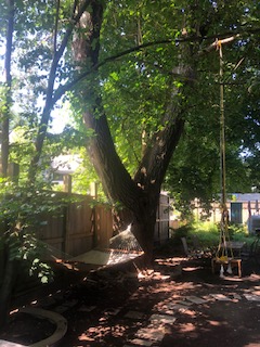 3 bedroom - or 2 bedroom plus office/den - Photo 10