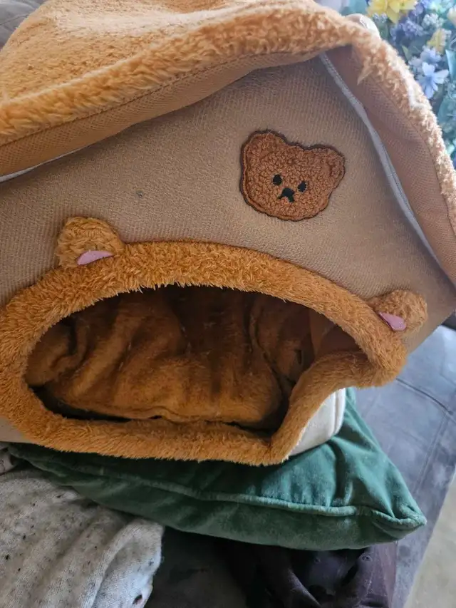 small dog bed house