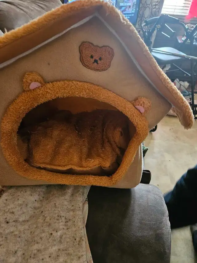 small dog bed house - Photo 2