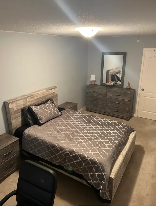 North Oshawa Large Room Rental -Single Occupancy- Female Student - Photo 2