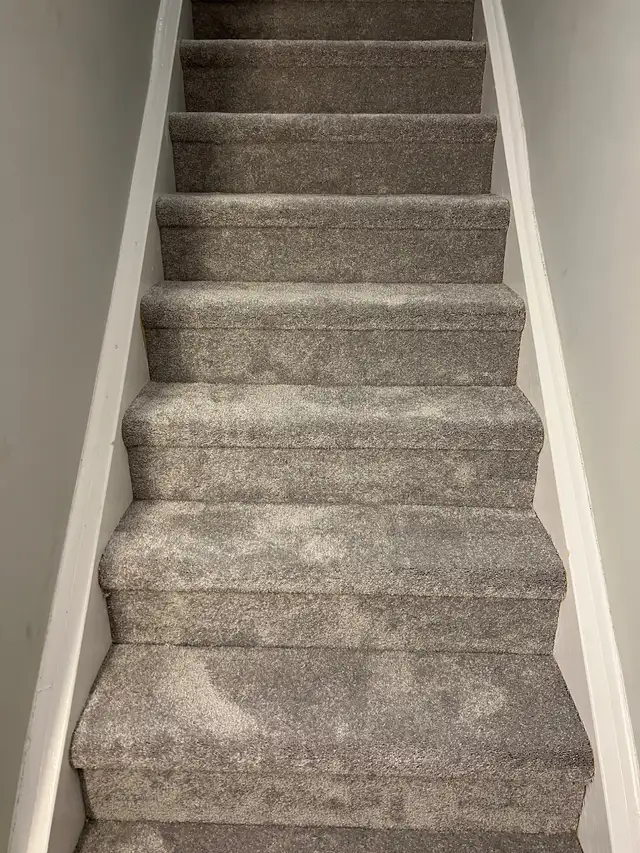 HOME & OFFICE CARPET INSTALLATION – SALES & REPAIRS - Photo 6