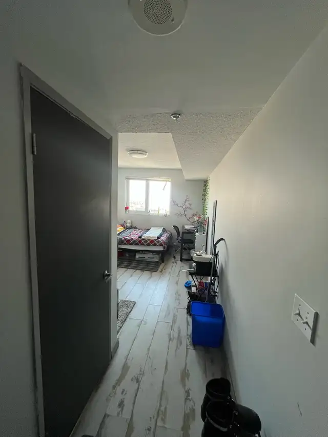 SUBLET FOR SUMMER ‼️‼️ - Photo 2