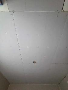 Drywall finisher/Painter available