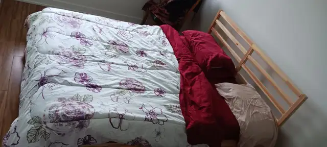 Queen size Bed for sale - Includes clean mattress and bed frame