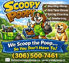 Dog Poop Cleanup Service – Scoopy Poopy | Battlefords & Area