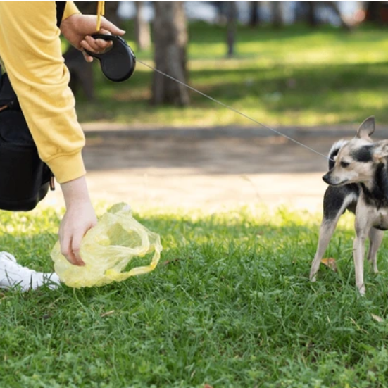 Dog Poop Cleanup Service – Scoopy Poopy | Battlefords & Area - Photo 2