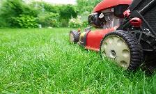 Newcastle & Bowmanville Local Grass Cutting Service