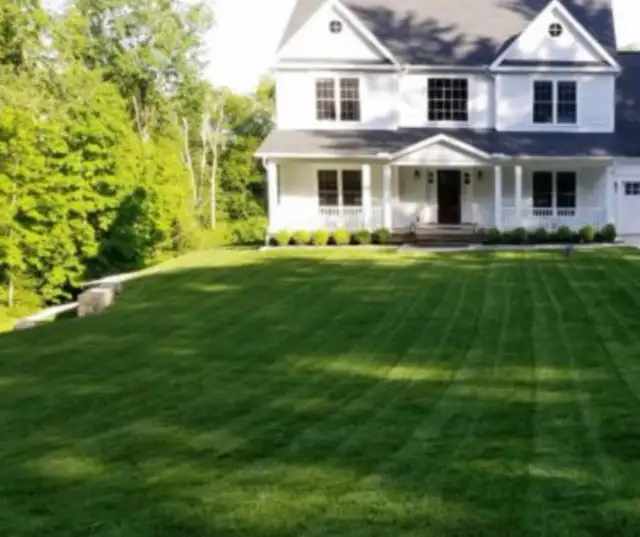 Newcastle & Bowmanville Local Grass Cutting Service - Photo 2