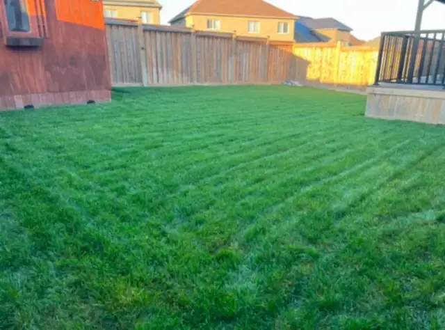 Newcastle & Bowmanville Local Grass Cutting Service - Photo 3