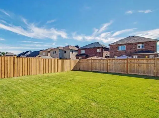 Newcastle & Bowmanville Local Grass Cutting Service - Photo 4