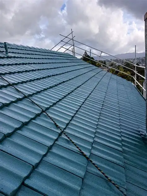 Deck Painting - Photo 2