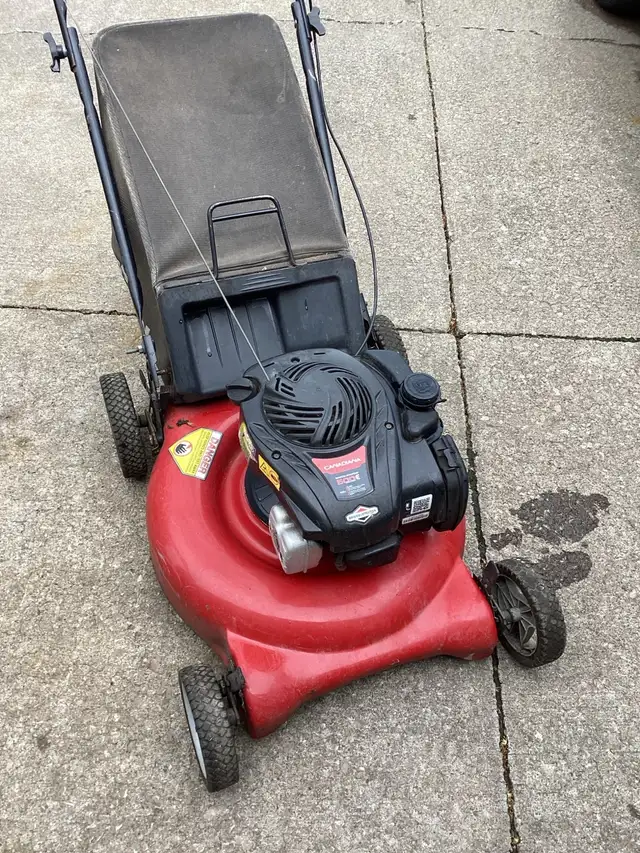 push rear bag lawnmower