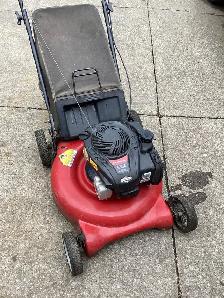 push rear bag lawnmower