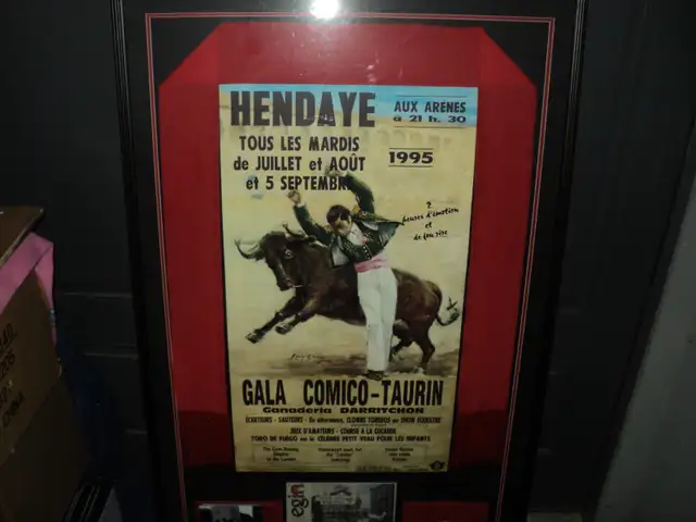 LARGE 1995 Vintage BullFight Bullfighting Picture ~ $20