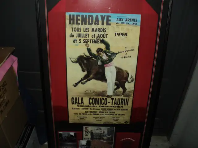 LARGE 1995 Vintage BullFight Bullfighting Picture ~ $20 - Photo 2