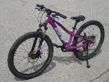 EYE CATCHER 24' GT STOMPER PRO 7 SPD, DISC BRAKES & SUSPENSION!