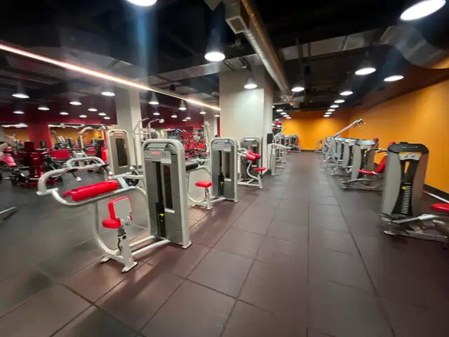 2 Bedroom Furnished Condo | Walk to SickKids & Toronto General - Photo 20