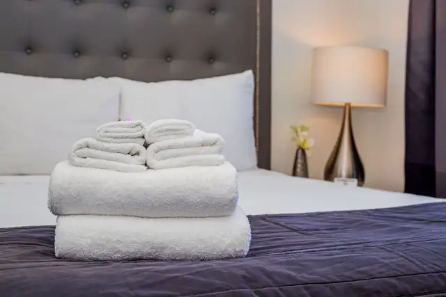 2 Bedroom Furnished Condo | Walk to SickKids & Toronto General - Photo 26