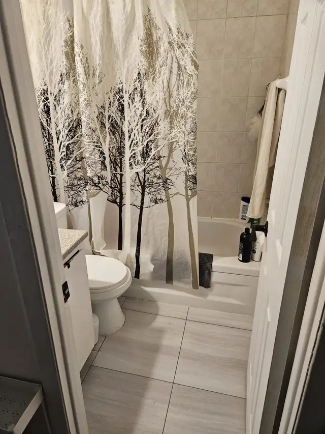 Bachelor ville Lasalle - Photo 9