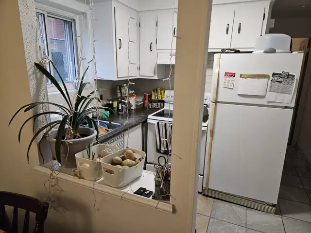 Bachelor ville Lasalle - Photo 10