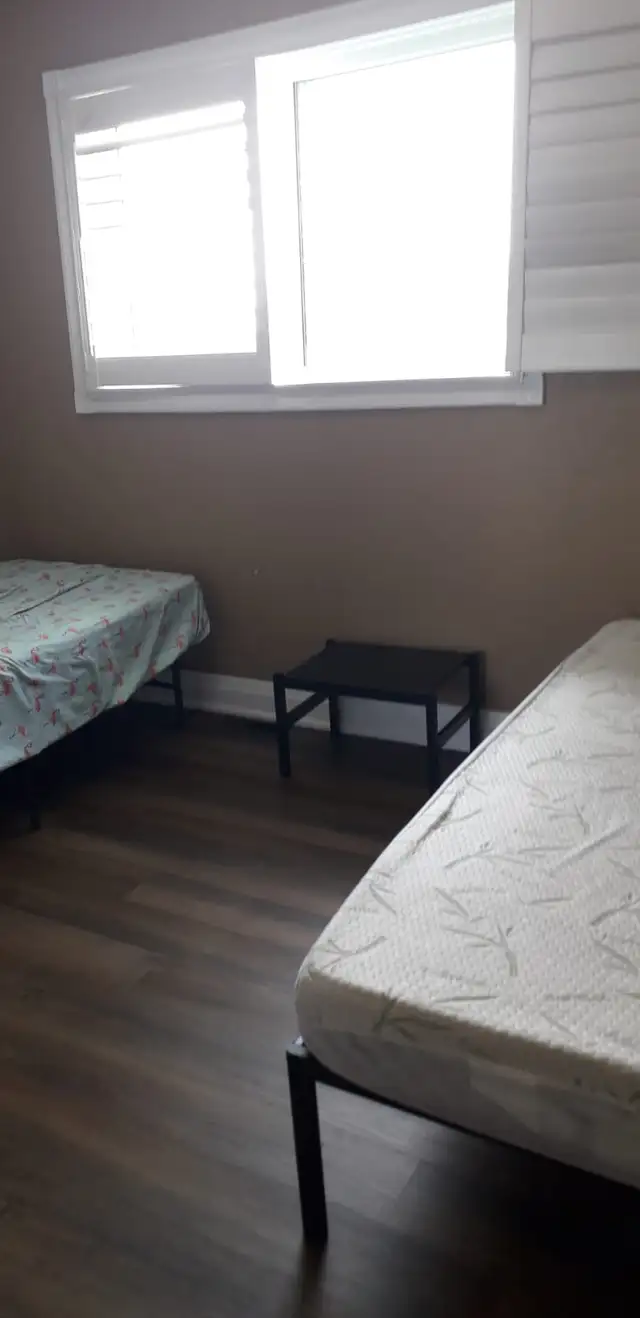 Master bedroom on Main level in Malton Mississauga - Photo 4