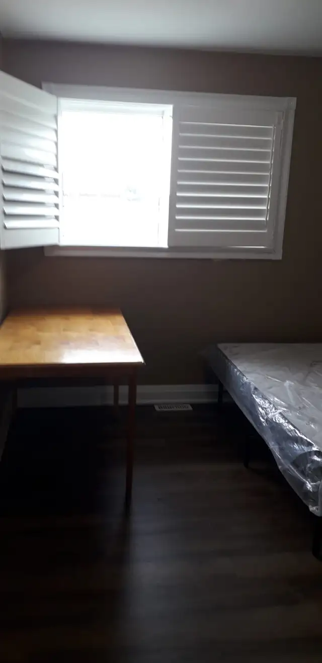 Master bedroom on Main level in Malton Mississauga - Photo 5