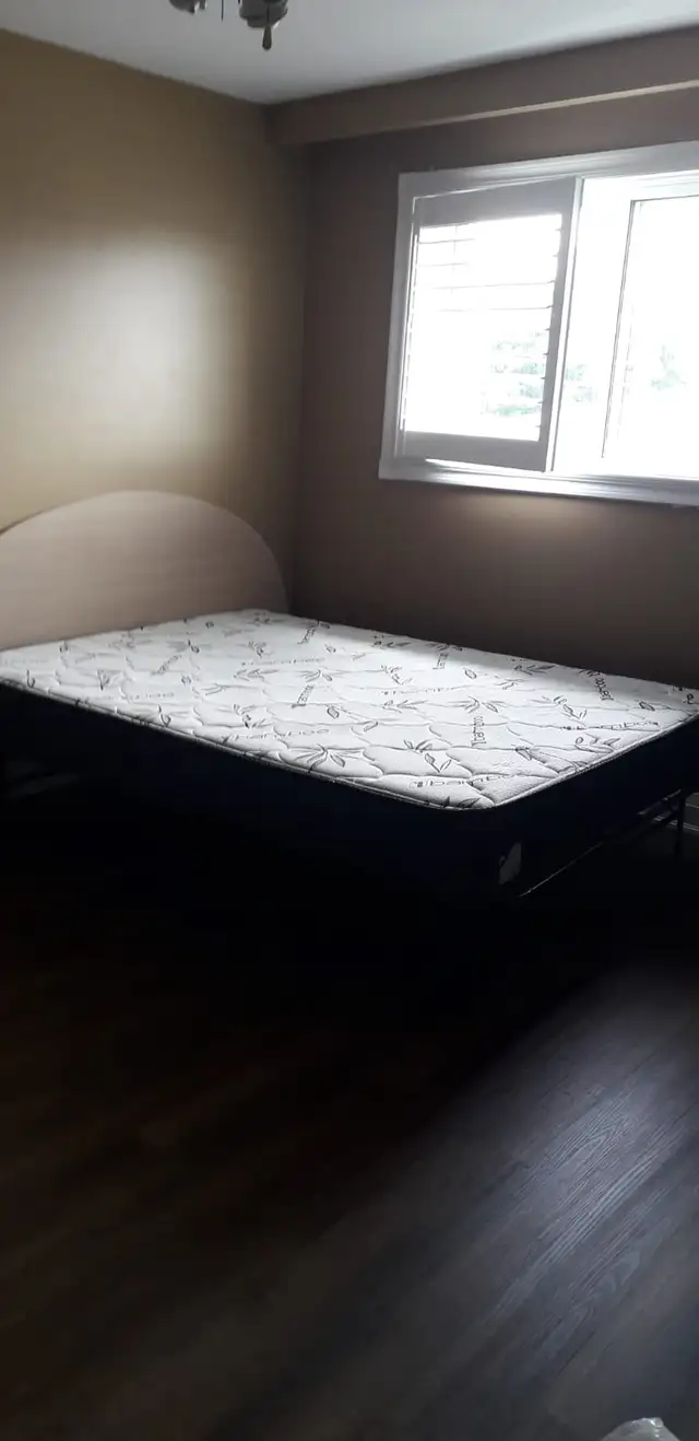 Master bedroom on Main level in Malton Mississauga - Photo 6