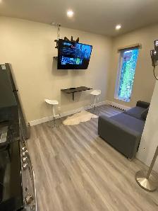 995$/mois-À Louer - Mini-Studio Moderne Completement Meublé.