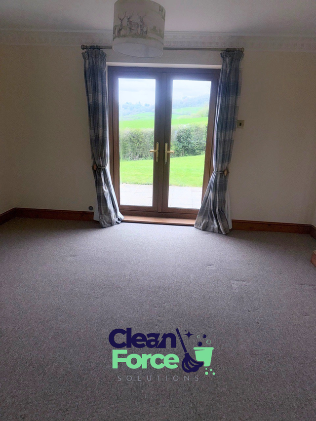 Local cleaning service