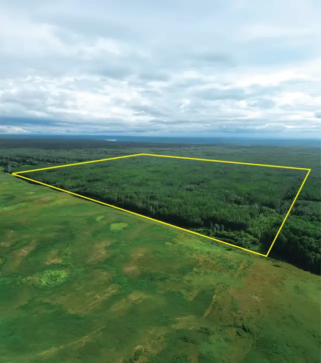 26EK-4 Parcels: 637± Combined Acres, Northern Lights County, AB - Photo 6