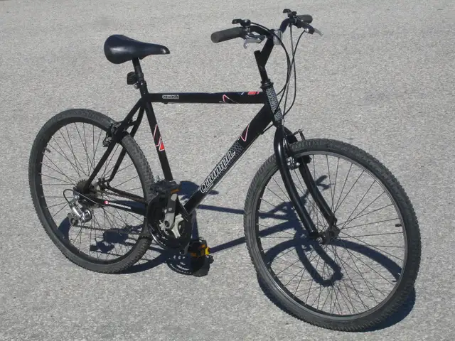 ADULT LARGE 26' TRIUMPH CHALLENGER 18 SPEED MOUNTAIN BIKE! - Photo 2