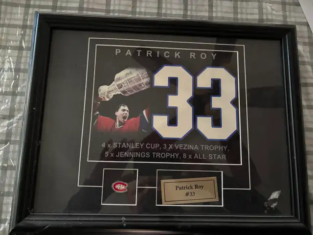 Patrick Roy Plagued Picture