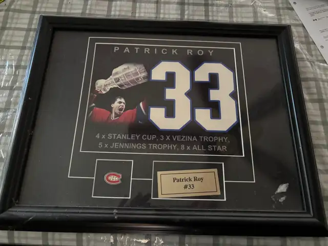 Patrick Roy Plagued Picture - Photo 2