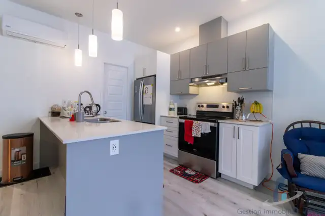 Apartement à Louer - 105 Rue Marguerite Maillé #201 - Photo 7