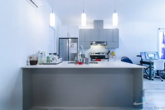 Apartement à Louer - 105 Rue Marguerite Maillé #201 - Photo 8