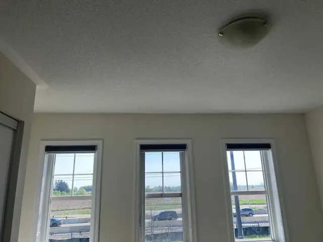 Master bedroom suite for rent- new house - Photo 4