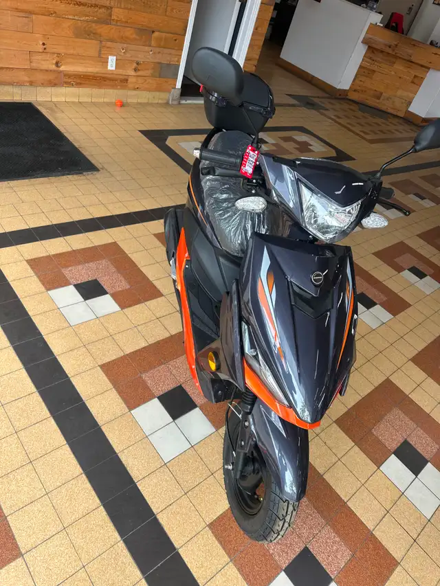 SCOOTER RALLY - Photo 4