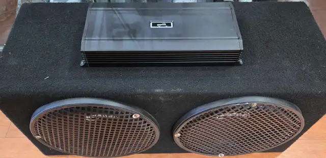 12' Soundstage Dual Sub and Mono Amp Pair