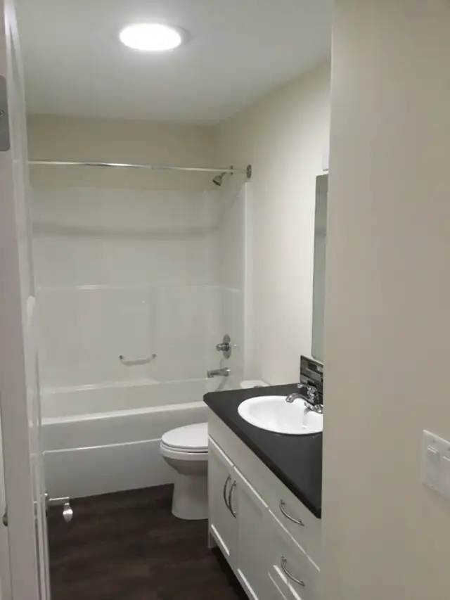 Buena Vista - Photo 4