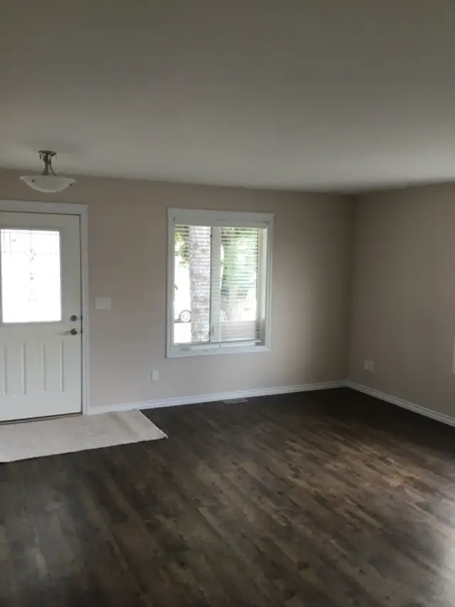 Buena Vista - Photo 5