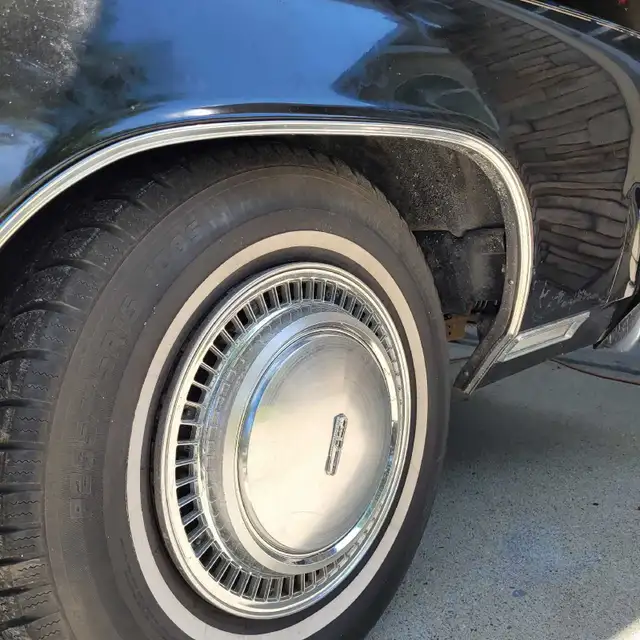 Ready to Cruise - Photo 2