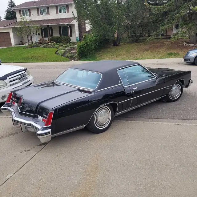 Ready to Cruise - Photo 5