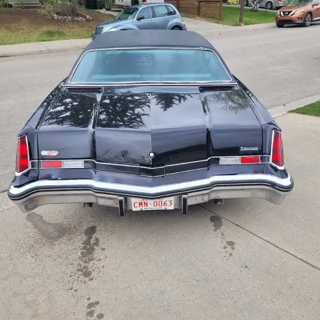 Ready to Cruise - Photo 6