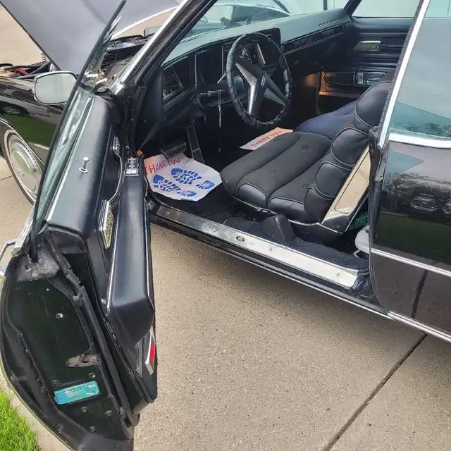 Ready to Cruise - Photo 9