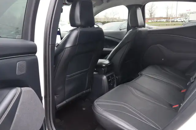 2022 Ford Mustang Mach-E - Photo 17