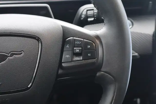 2022 Ford Mustang Mach-E - Photo 18