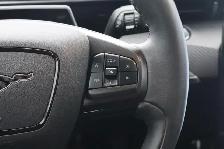 2022 Ford Mustang Mach-E - Photo 18
