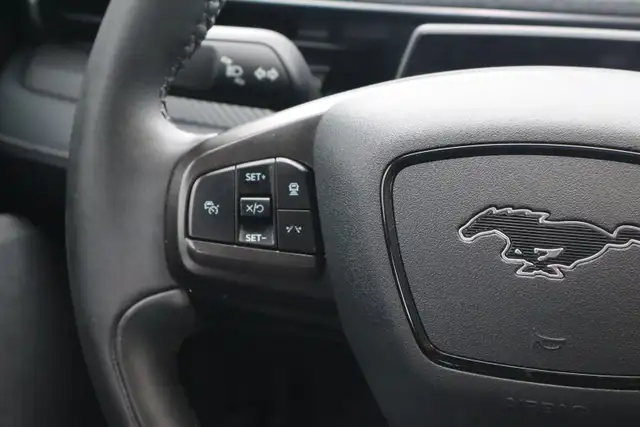 2022 Ford Mustang Mach-E - Photo 19